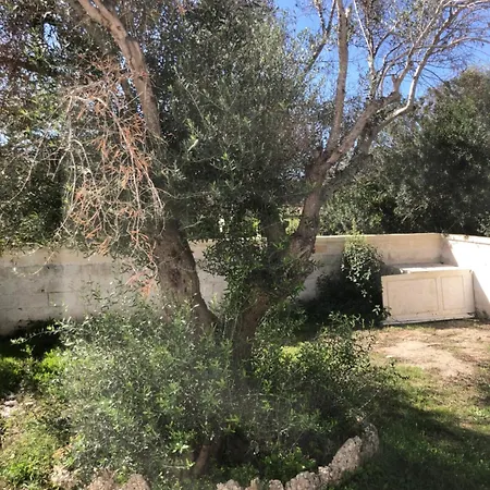 Casa de Férias La Casa Tra Gli Ulivi Torre Colimena